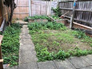 Photo 3- click for photo gallery